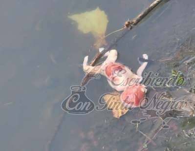 ENCUENTRAN FETO EN RÍO ORIZABA