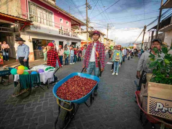 COLORIDO Y “CAFETERO” DESFILE EN IXHUATLÁN DEL CAFÉ
