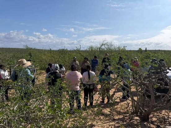 LLAMADA ANÓNIMA REVELA FOSA CLANDESTINA EN BAJA CALIFORNIA