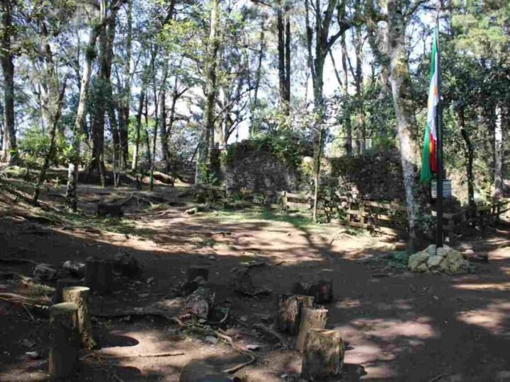 ORIZABA IMPLEMENTA MEDIDAS PREVENTIVAS CONTRA INCENDIOS FORESTALES