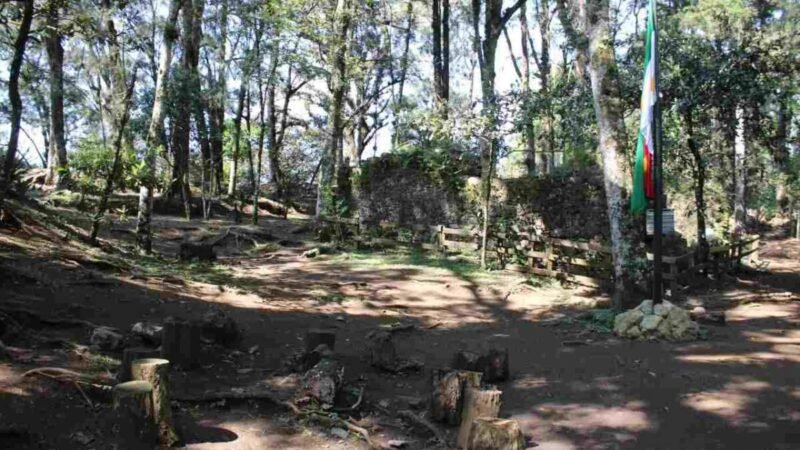 ORIZABA IMPLEMENTA MEDIDAS PREVENTIVAS CONTRA INCENDIOS FORESTALES