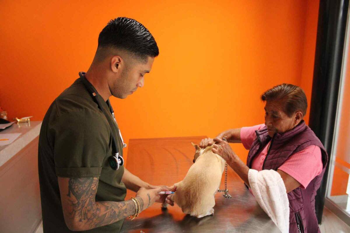 INICIA CAMPAÑA DE VACUNACIÓN ANTIRRÁBICA EN LA CLÍNICA MASCORI