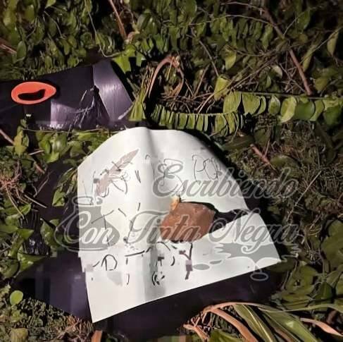 DEJAN A DOS DESCUARTIZADOS EN LIMITES DE ATOYAC