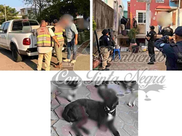 RESCATAN A PERROS VÍCTIMAS DE MALTRATO