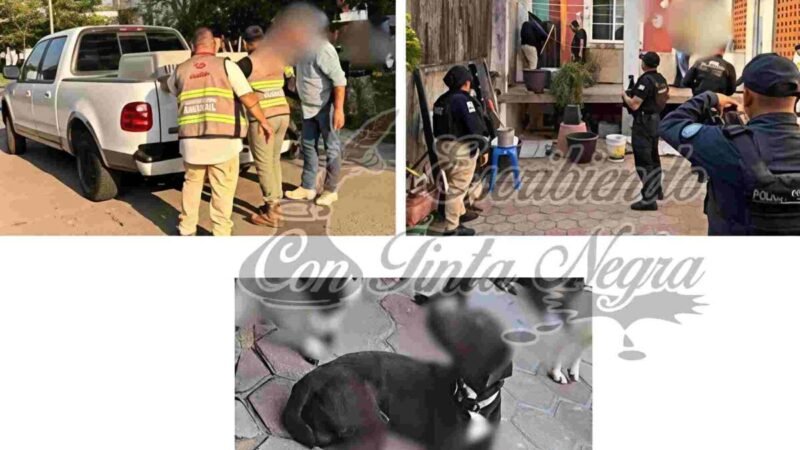 RESCATAN A PERROS VÍCTIMAS DE MALTRATO