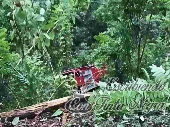 ¡CAE CAMIÓN DE BOMBEROS A UN BARRANCO!; UNO MURIÓ