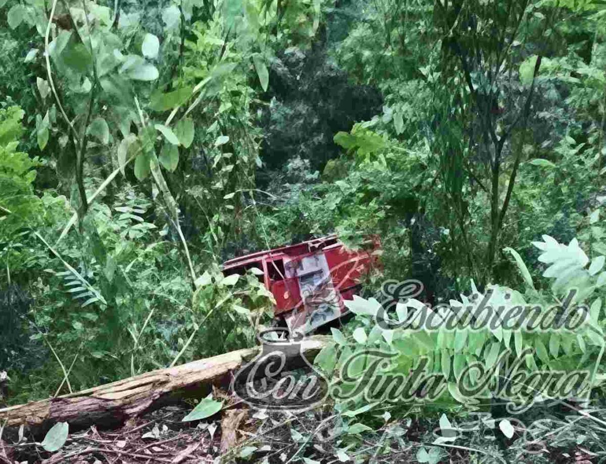 ¡CAE CAMIÓN DE BOMBEROS A UN BARRANCO!; UN EMPLEADO DE LIMPIA PÚBLICA MURIÓ