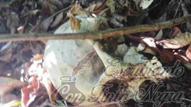 ENCUENTRAN RESTOS HUMANOS