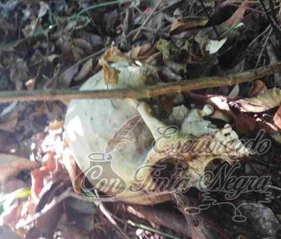 ENCUENTRAN RESTOS HUMANOS