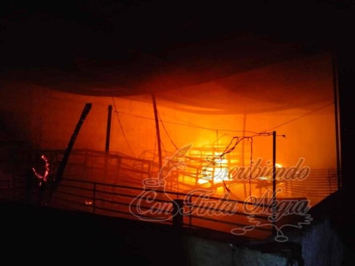 SE INCENDIA GRANJA DE CERDOS