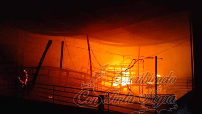 SE INCENDIA GRANJA DE CERDOS