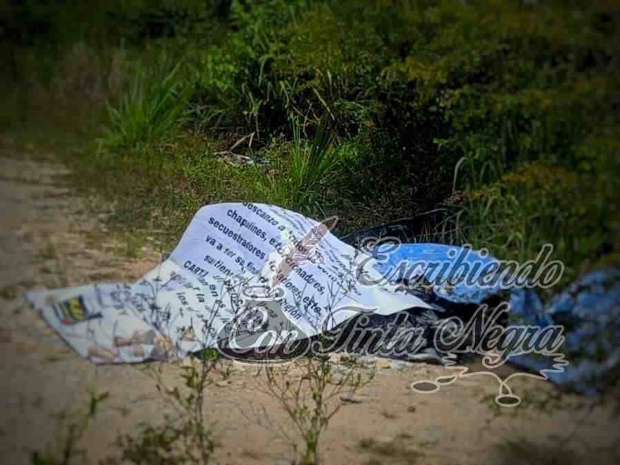 DEJAN TRES DESCUARTIZADOS JUNTO A LA CARRETERA