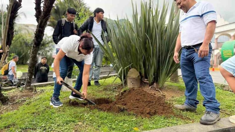 SIEMBRAN ÁRBOLES NATIVOS EN PARQUE DE CHOCAMÁN