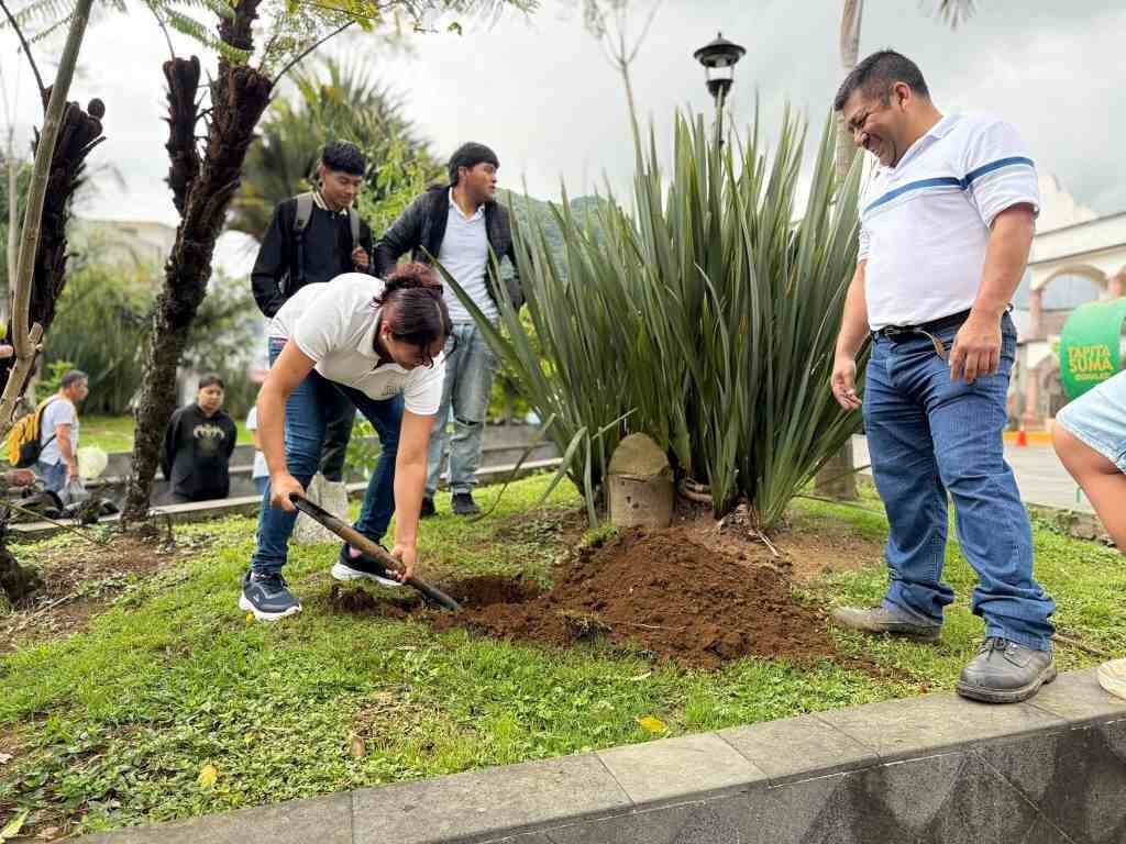 SIEMBRAN ÁRBOLES NATIVOS EN PARQUE DE CHOCAMÁN