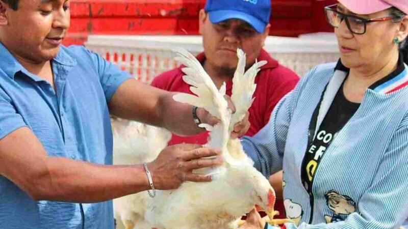 ENTREGAN “GALLINAS PONEDORAS” EN CHOCAMÁN