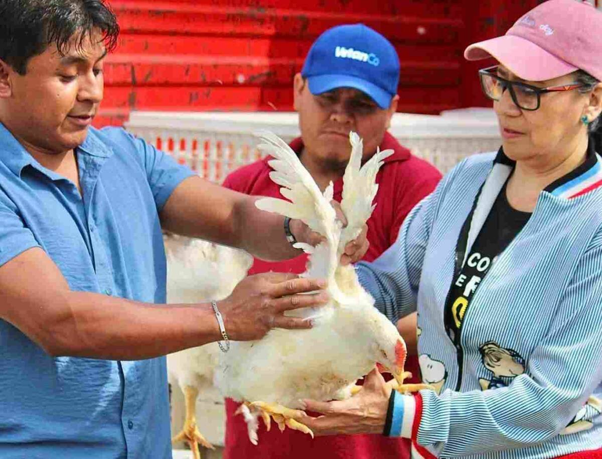 ENTREGAN “GALLINAS PONEDORAS” EN CHOCAMÁN