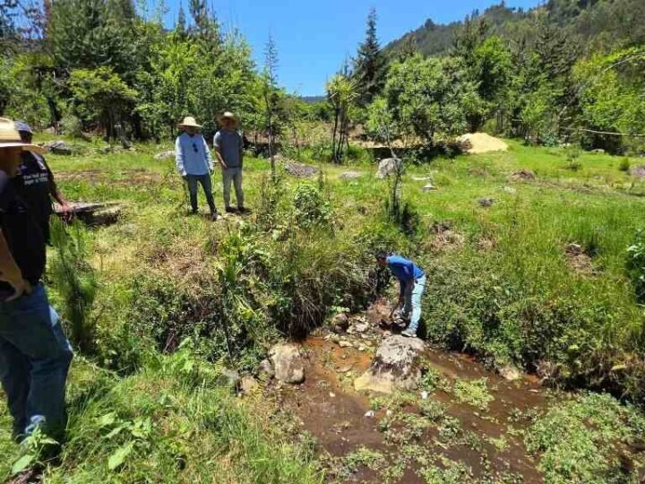 ALTAS TEMPERATURAS AFECTAN SUMINISTRO DE AGUA EN ALPATLÁHUAC