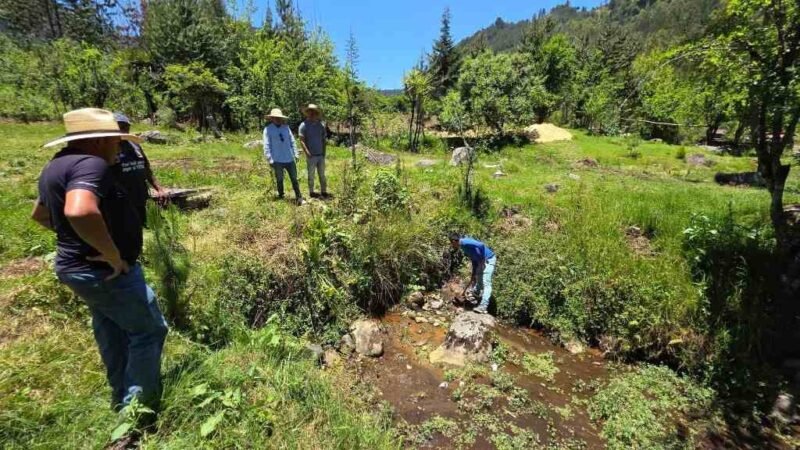 ALTAS TEMPERATURAS AFECTAN SUMINISTRO DE AGUA EN ALPATLÁHUAC