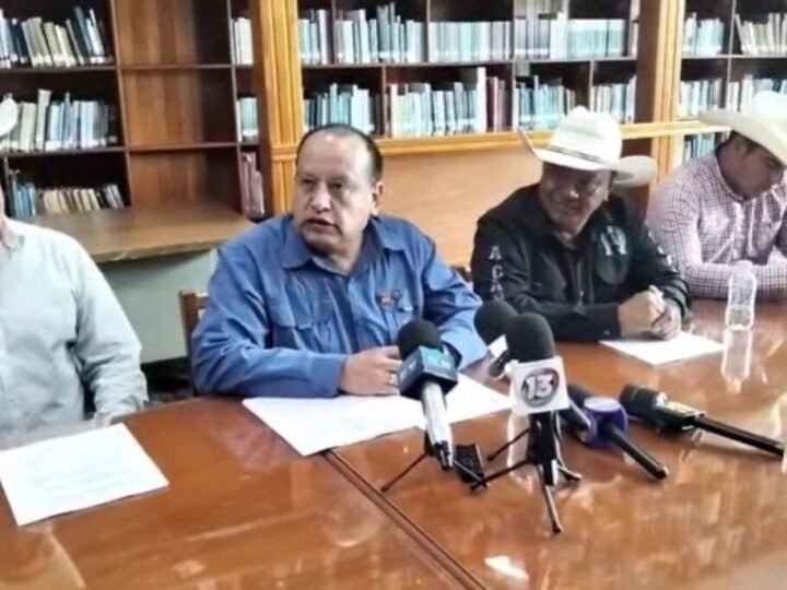 DIPUTADO DEL PT SE DISCULPA POR COMPARAR A LAS MUJERES CON CABALLOS