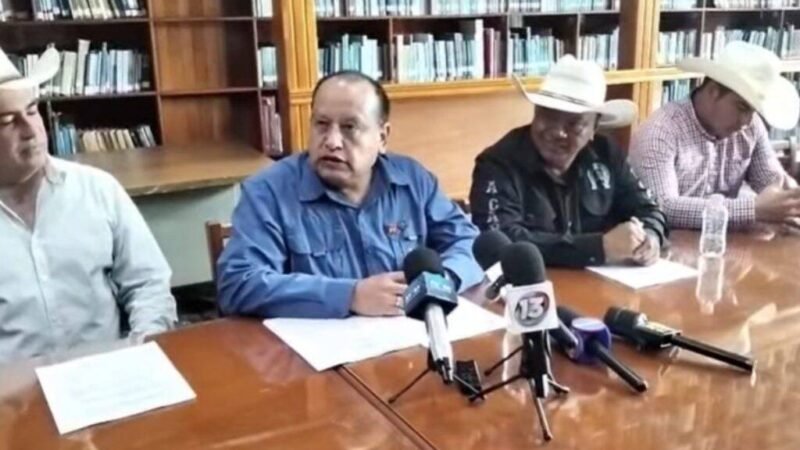 DIPUTADO DEL PT SE DISCULPA POR COMPARAR A LAS MUJERES CON CABALLOS