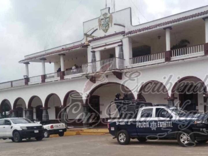 REVISAN HASTA CON PERROS COMANDANCIA DE AMATLÁN