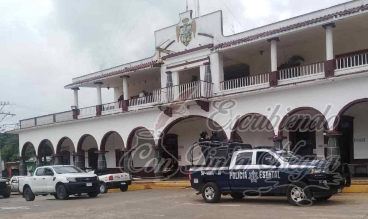 REVISAN HASTA CON PERROS COMANDANCIA DE AMATLÁN