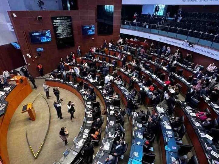 SENADO APRUEBA REFORMA PARA HOMOLOGAR EL DELITO DE FEMINICIDIO EN TODO EL PAÍS