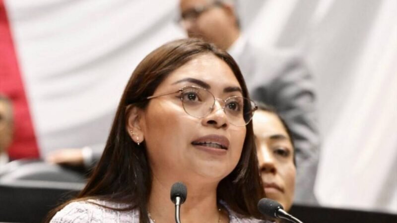 PROPONE DIPUTADA REGULAR USO DE PIROTÉCNIA