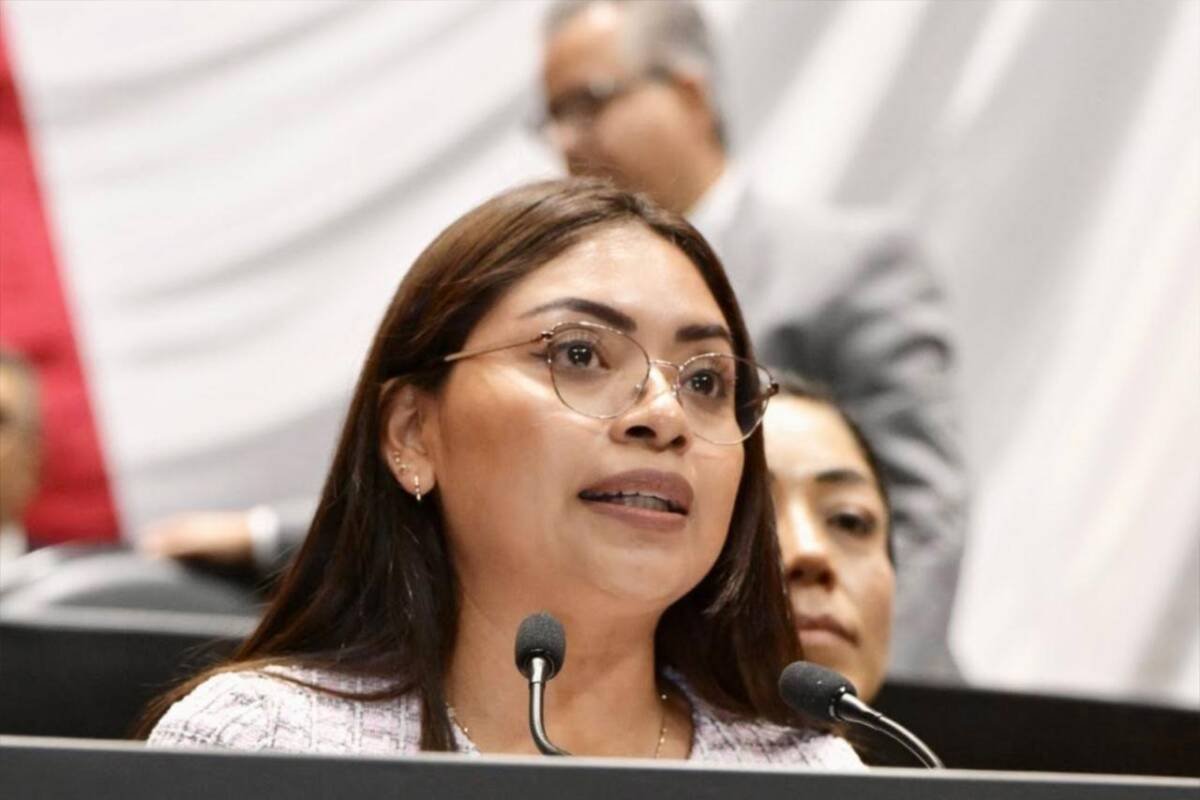 PROPONE DIPUTADA REGULAR USO DE PIROTÉCNIA