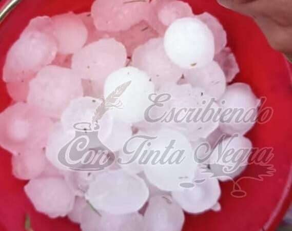 EVALÚAN DAÑOS POR GRANIZADA EN SIERRA DE ALPATLÁHUAC