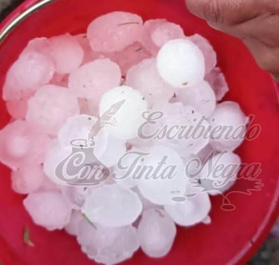 EVALÚAN DAÑOS POR GRANIZADA EN SIERRA DE ALPATLÁHUAC