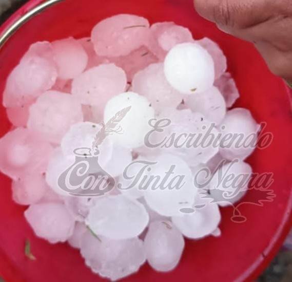 EVALÚAN DAÑOS POR GRANIZADA EN SIERRA DE ALPATLÁHUAC