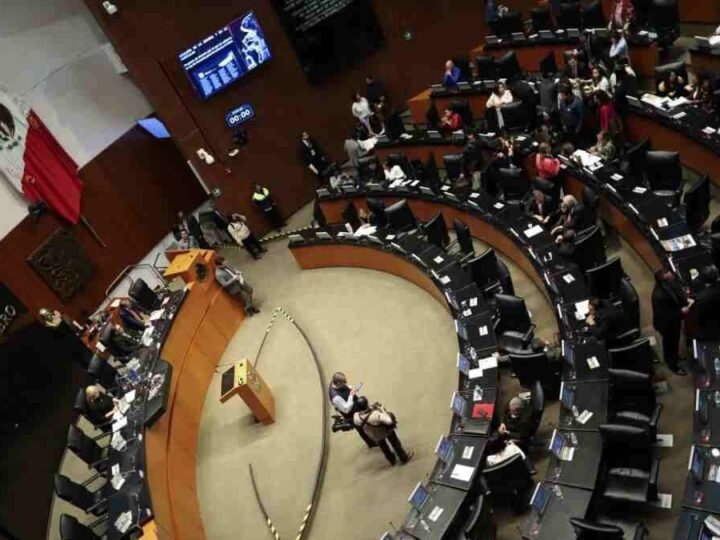 SENADO REVISARÁ LEYES PARA EVITAR CIBERACOSO A MUJERES Y NIÑAS
