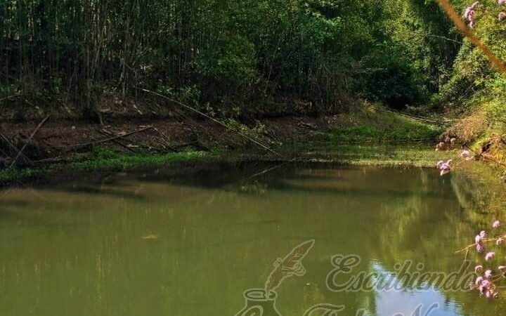 PROMUEVEN SENDERISMO EN HUATUSCO