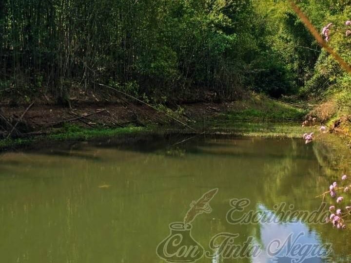 PROMUEVEN SENDERISMO EN HUATUSCO