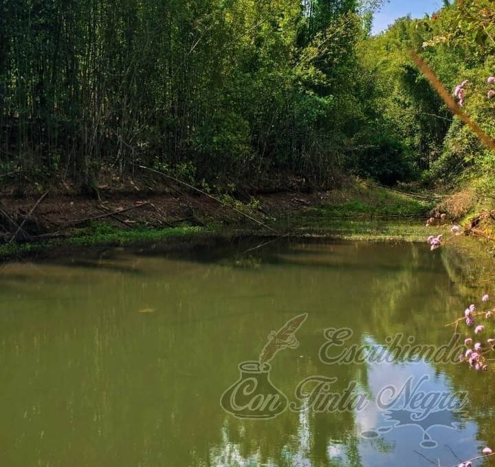 PROMUEVEN SENDERISMO EN HUATUSCO