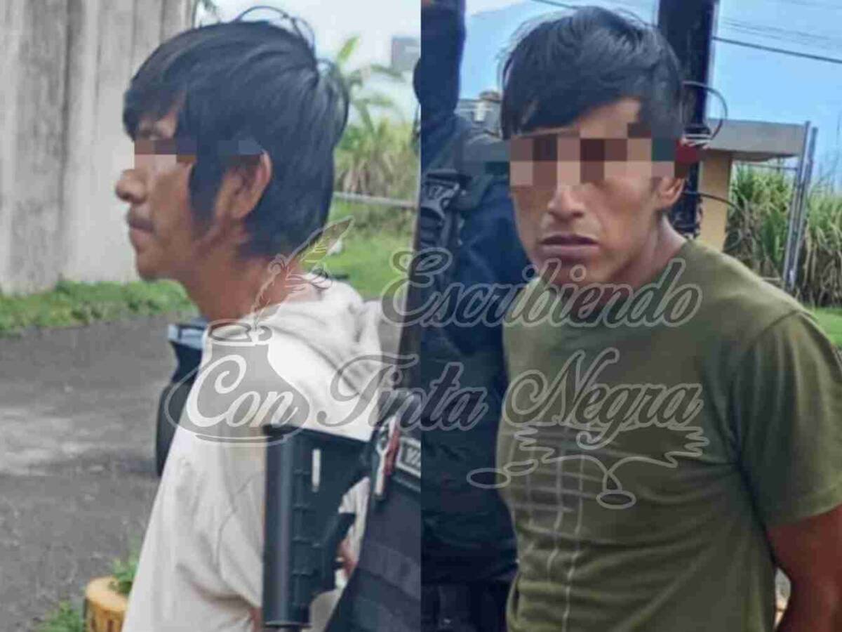 A LA TOMA, EL SERAFÍN Y EL TITI