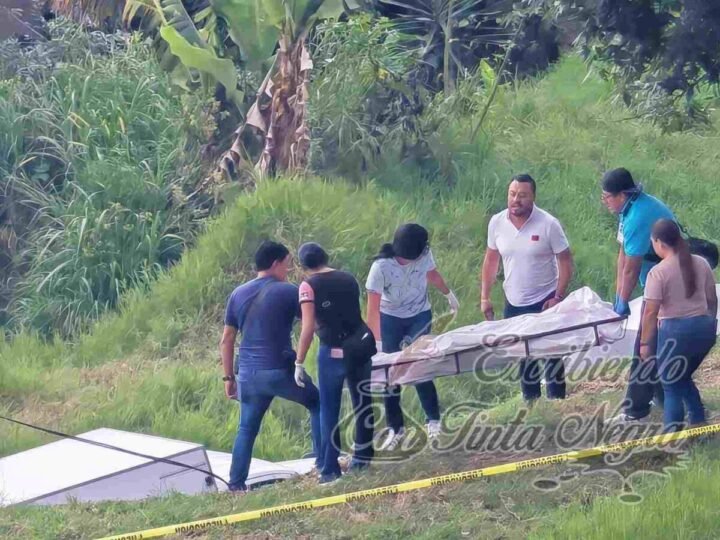 ENCUENTRAN CADAVER; PERROS YA LO ESTABAN DEVORANDO