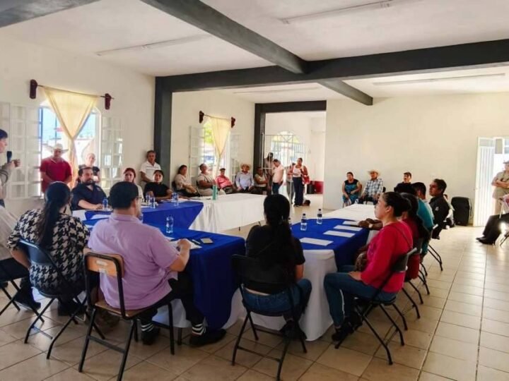 BUSCAN CAFETALEROS DE TOMATLÁN ALTERNATIVAS CONTRA LA ROYA