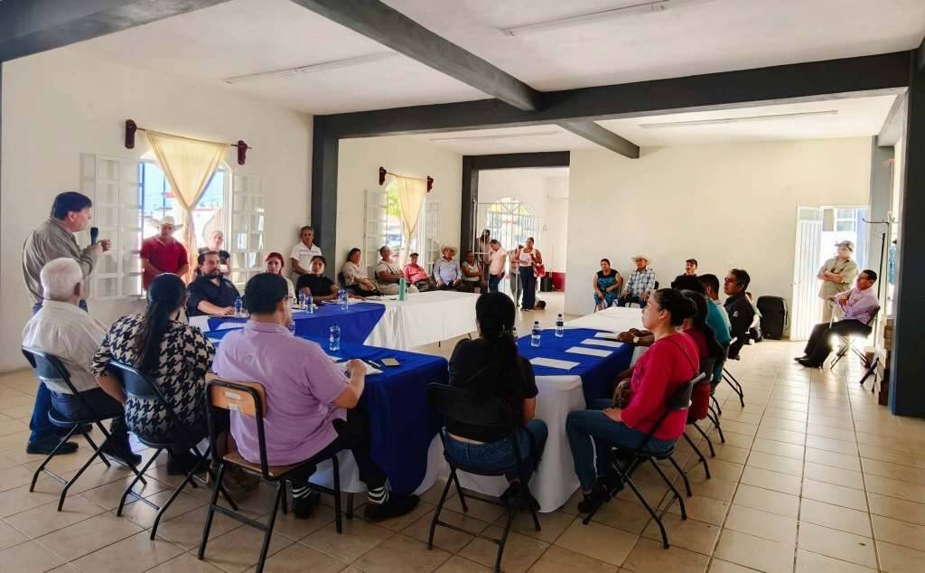 BUSCAN CAFETALEROS DE TOMATLÁN ALTERNATIVAS CONTRA LA ROYA