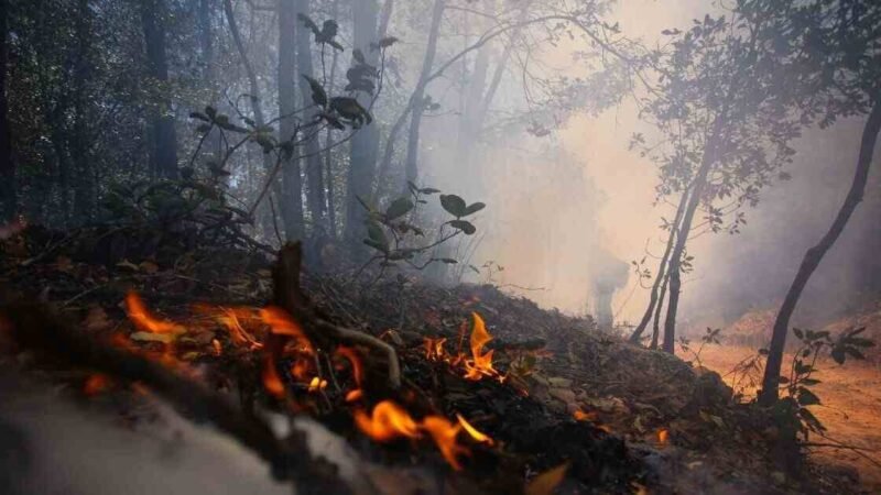 ONDA DE CALOR DISPARA A 45 LOS INCENDIOS FORESTALES ACTIVOS EN MÉXICO