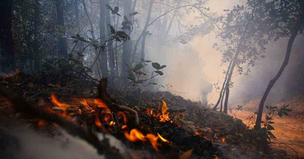 ONDA DE CALOR DISPARA A 45 LOS INCENDIOS FORESTALES ACTIVOS EN MÉXICO