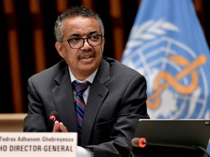 LA OMS “NO CREE” QUE FOCO DE HANTAVIRUS SEA SIMILAR AL DEL INICIO DE LA PANDEMIA DE COVID-19