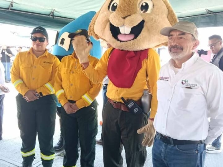 SUMAN 61 INCENDIOS FORESTALES EN VERACRUZ