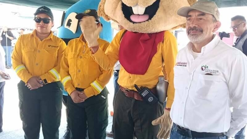 SUMAN 61 INCENDIOS FORESTALES EN VERACRUZ