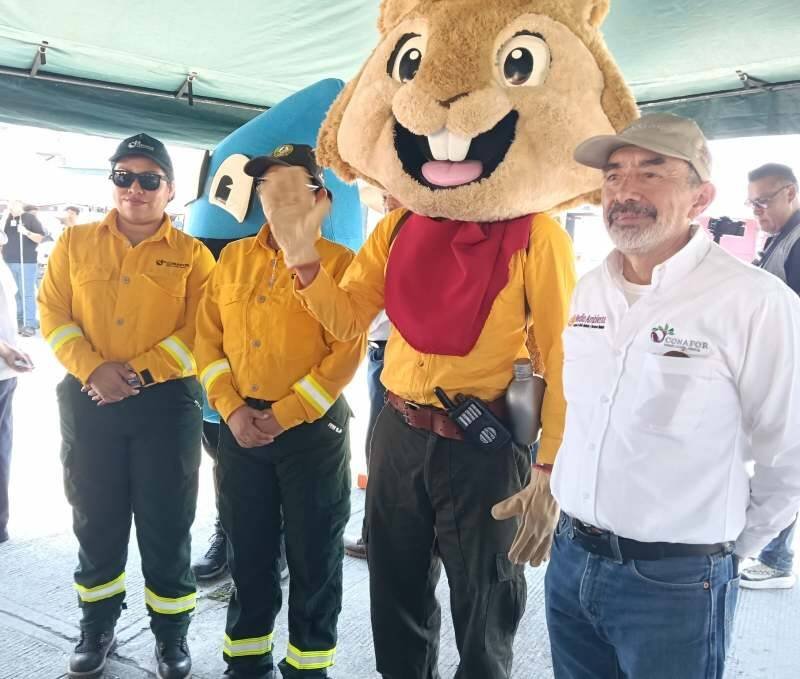 SUMAN 61 INCENDIOS FORESTALES EN VERACRUZ