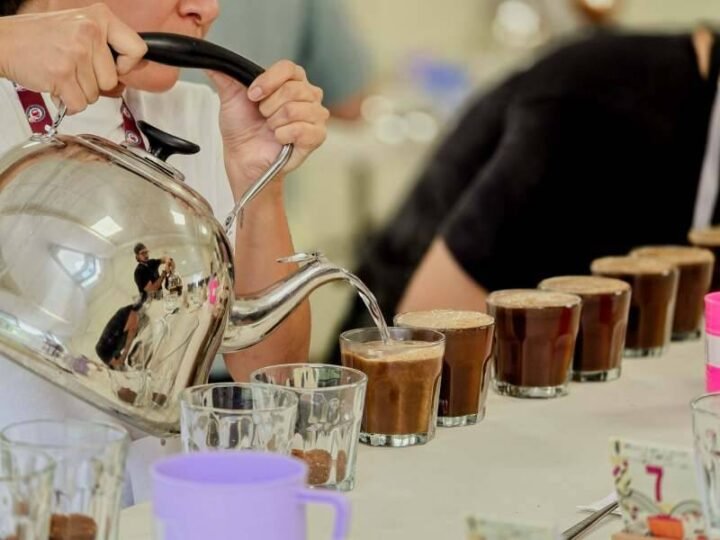 INICIA ETAPA DE PRESELECCIÓN DE TAZA DE EXCELENCIA 2026