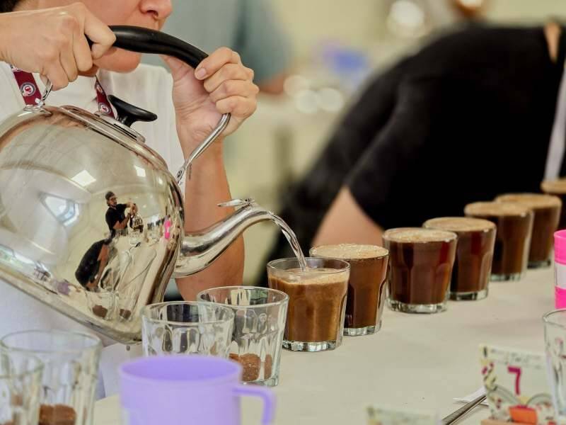 INICIA ETAPA DE PRESELECCIÓN DE TAZA DE EXCELENCIA 2026