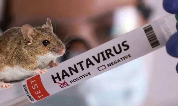 EU MANTIENE BAJO VIGILANCIA A 41 PERSONAS POR EXPOSICIÓN AL HANTAVIRUS