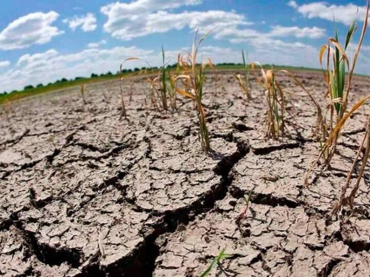 ONU ALERTA QUE ‘EL NIÑO’ AUMENTA LA INSEGURIDAD ALIMENTARIA EN AMÉRICA LATINA Y EL CARIBE